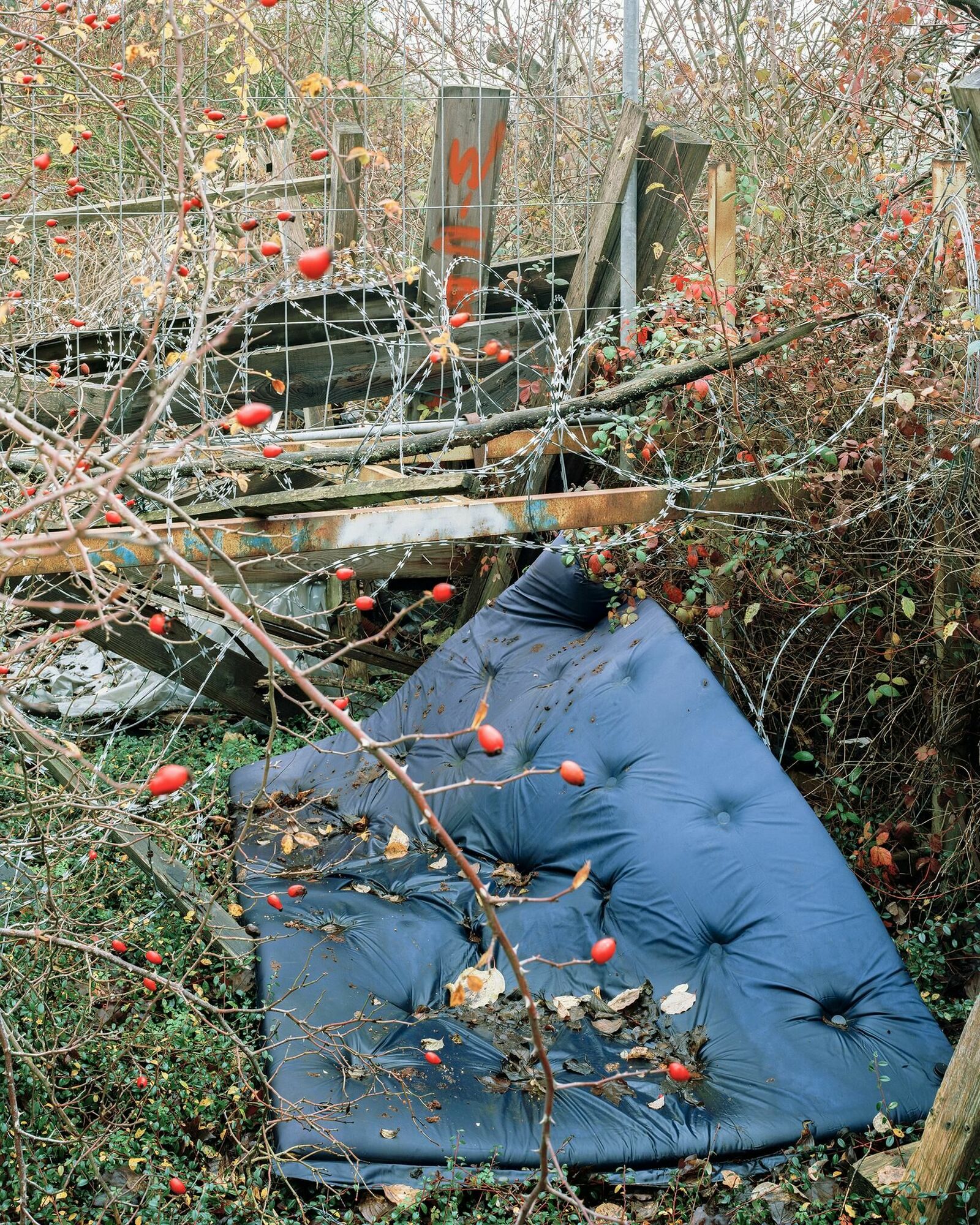 Gallery image of the project Remember to call your Mother, Son