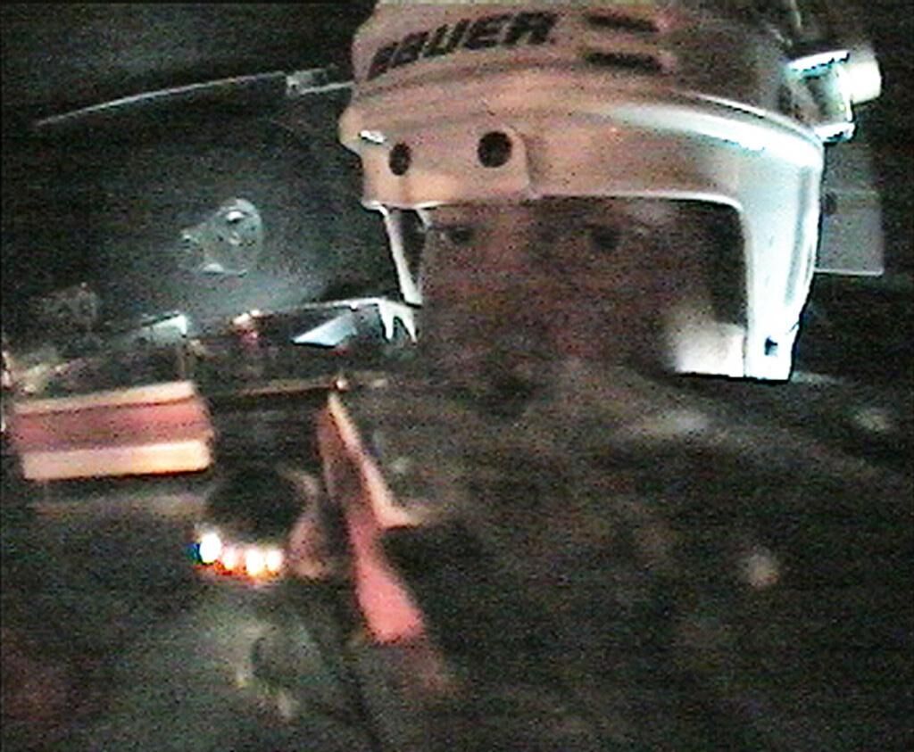 Gallery image of the project ////furminator