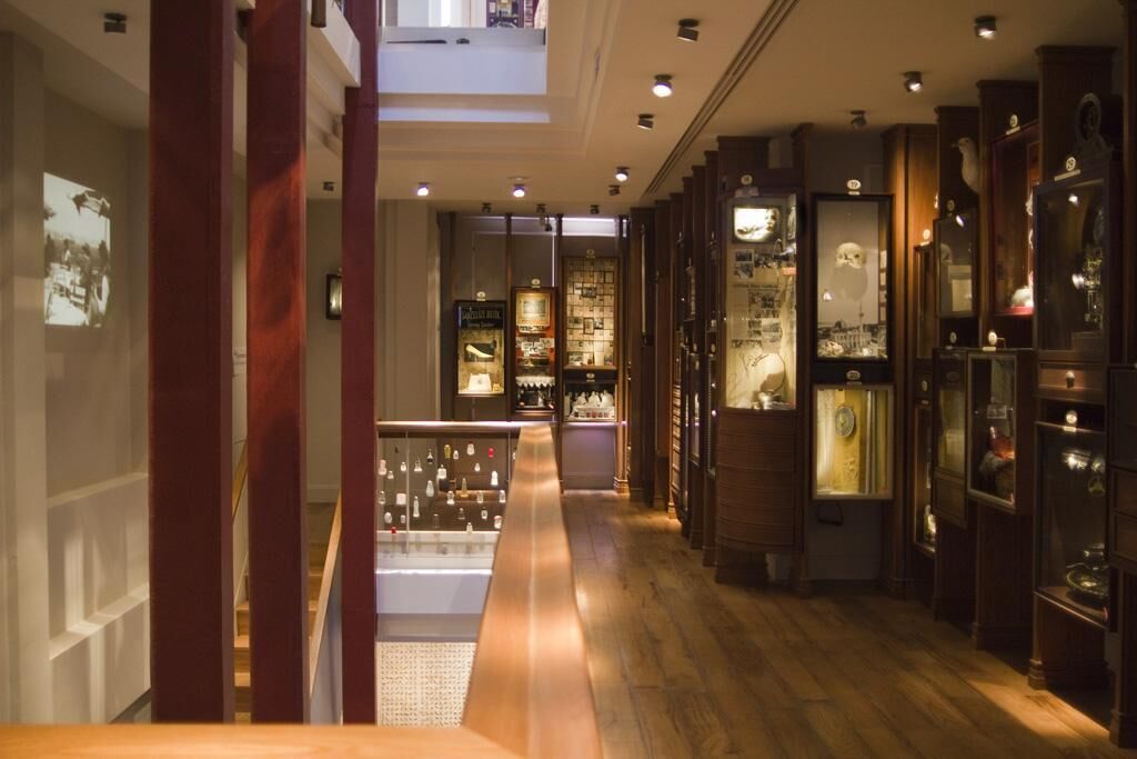 Gallery image of the project Istanbul Collecting