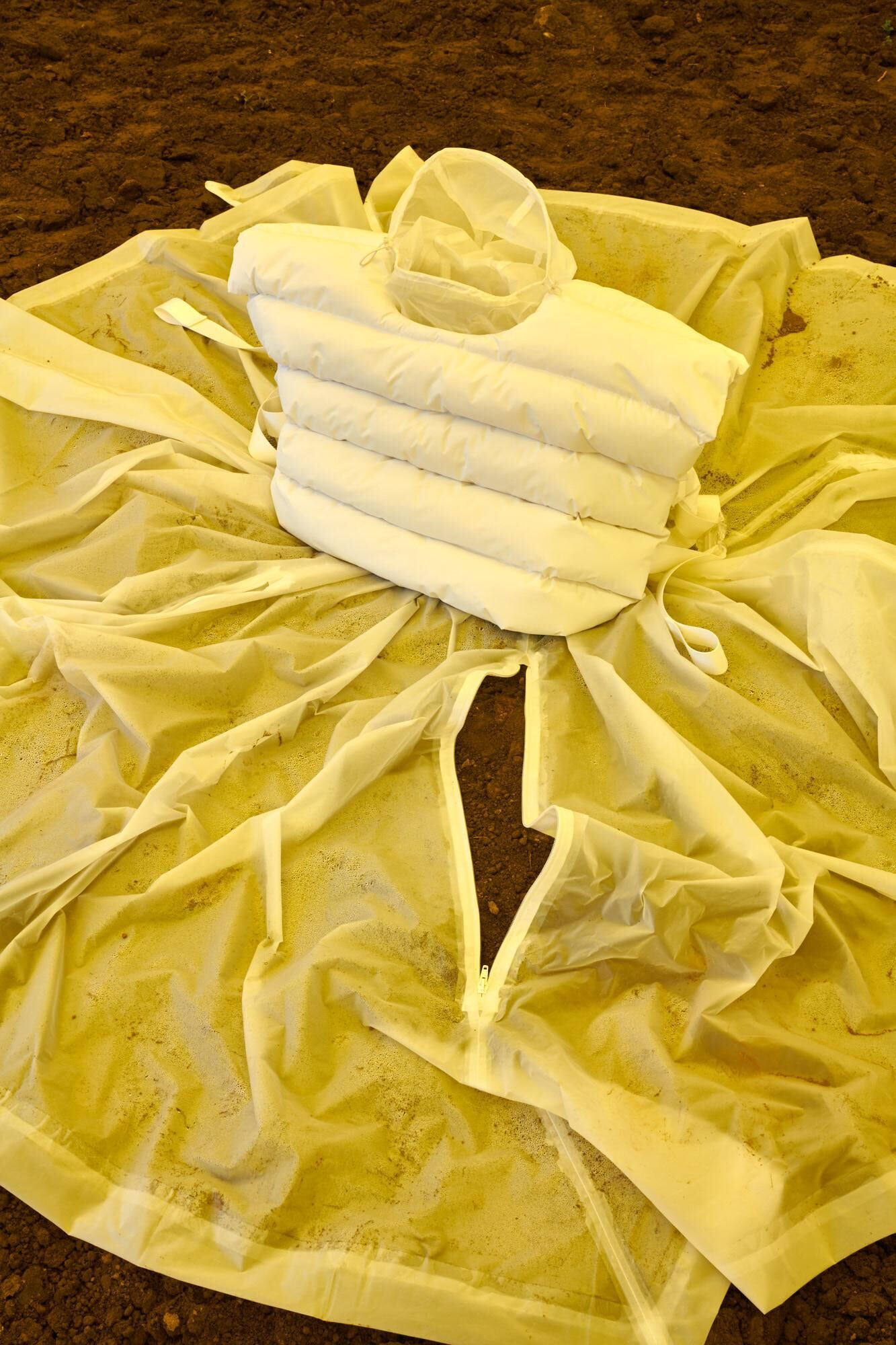 Gallery image of the project HOT