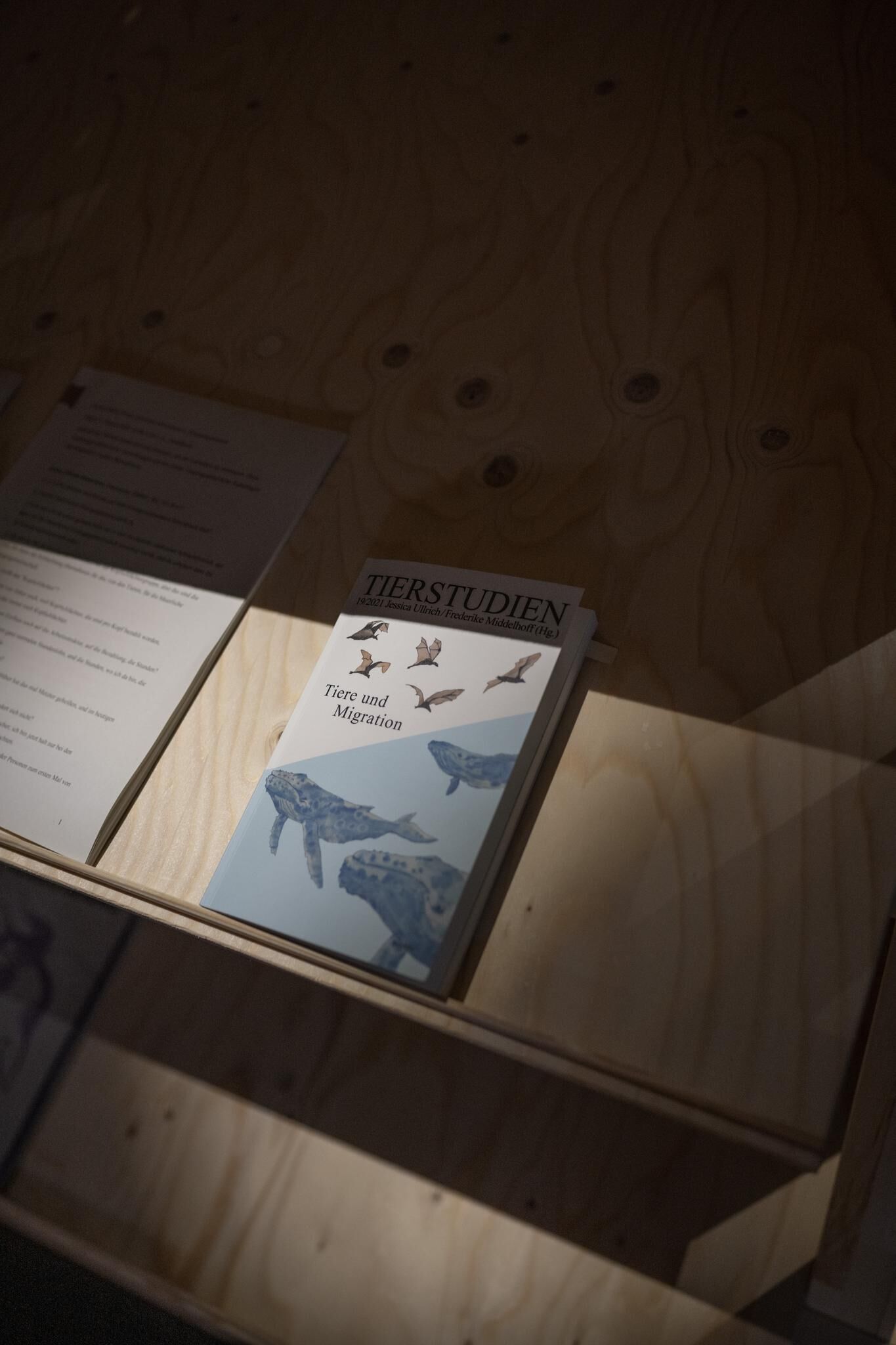 Gallery image of the project Live Stock / Live Animals