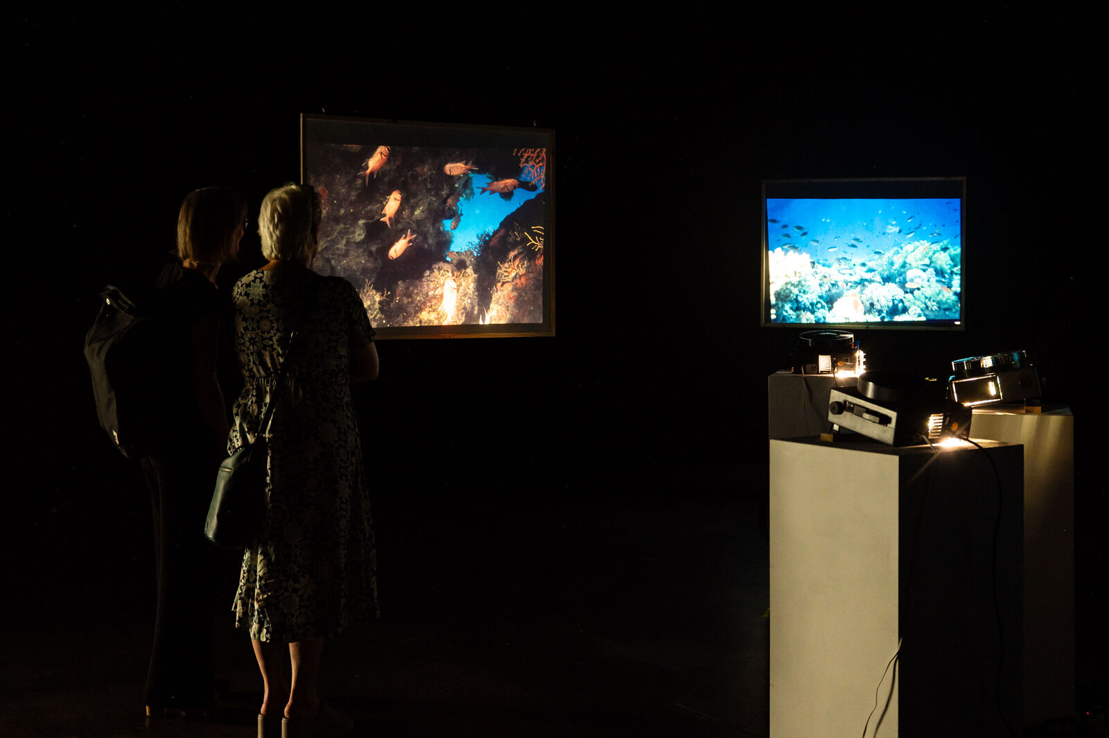 Jannika Lösche – under the sea i hope you'll find me (Diplom)