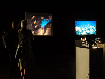 Jannika Lösche – under the sea i hope you'll find me (Diplom)