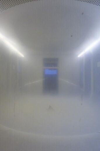 Cover image of the project Bis (all) es platzt!