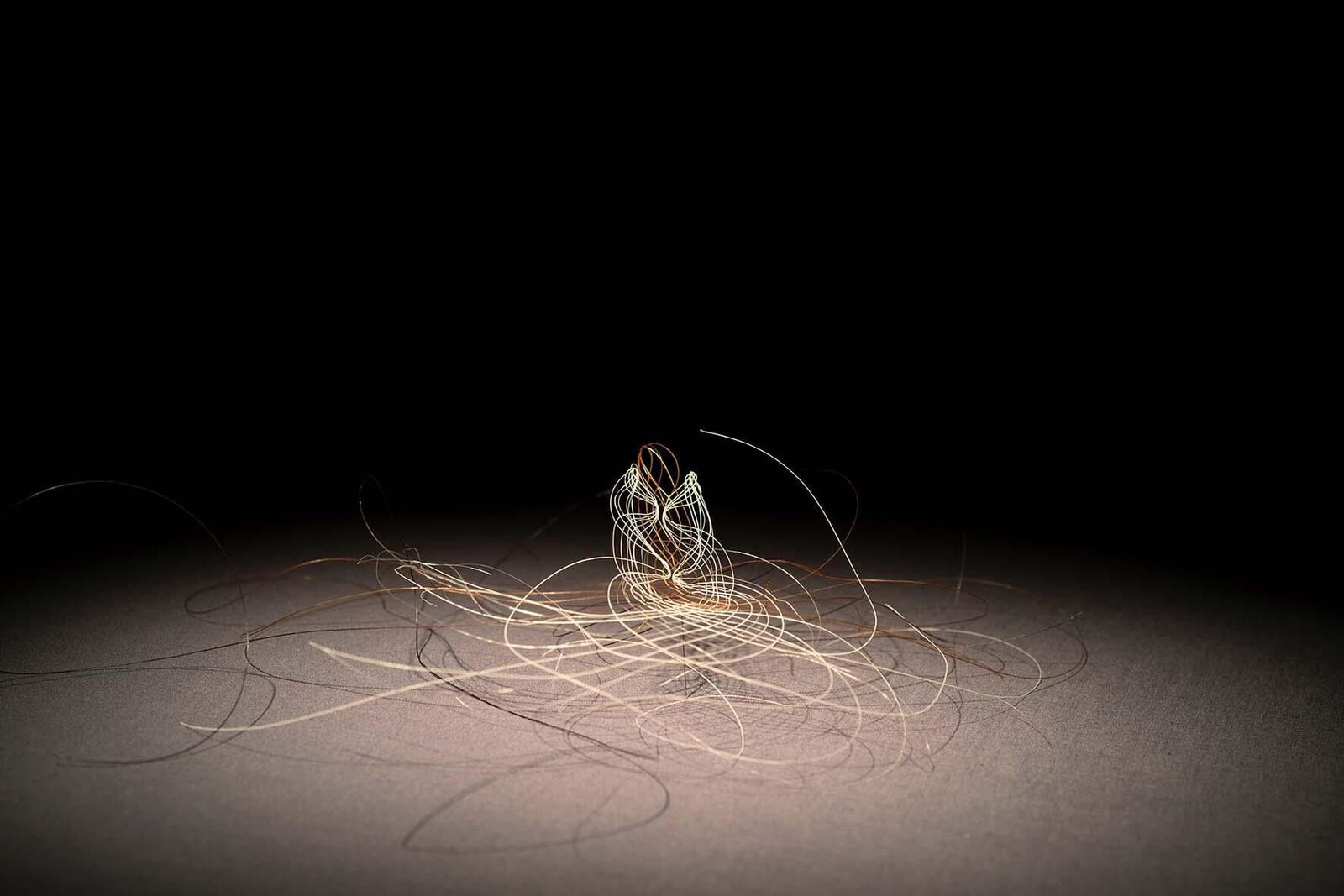 Gallery image of the project «Dann kommen ja die grünen Vögel nicht mehr wieder, wenn die Kastanien weg sind»