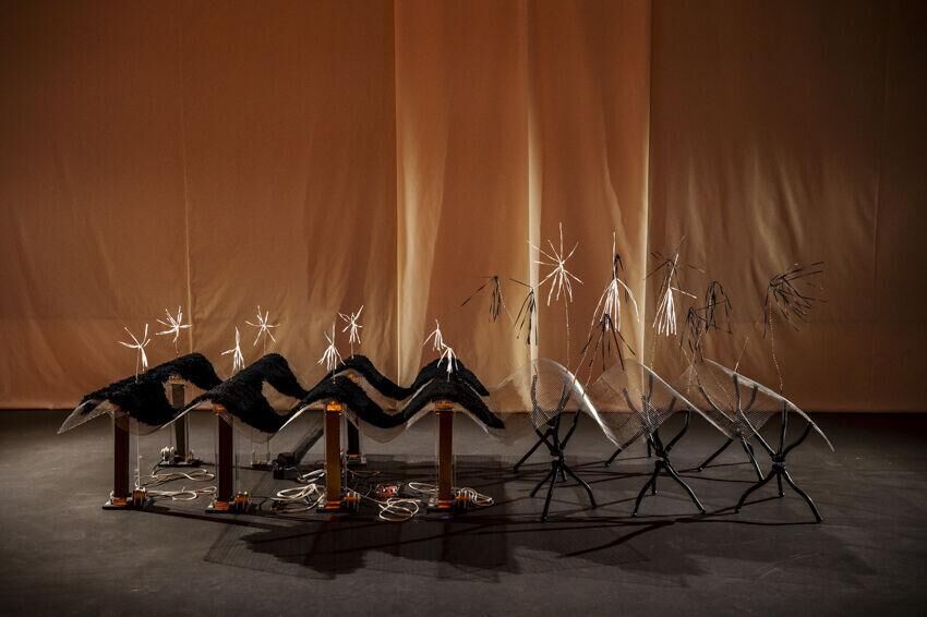 Cover image of the project Permanent planting