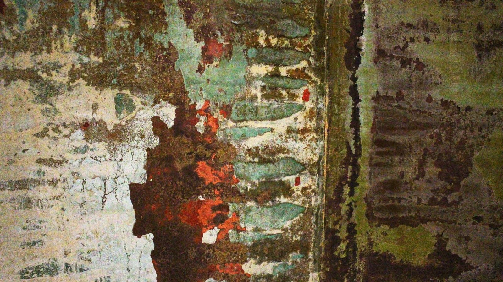 Gallery image of the project 41 seconds