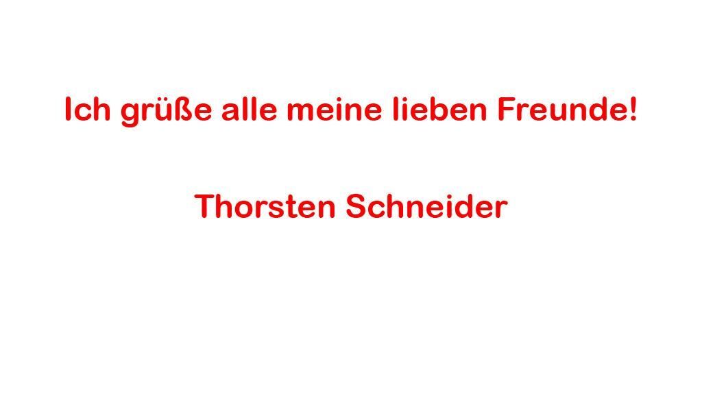 Cover image of the project Studien zu Profanformalismen