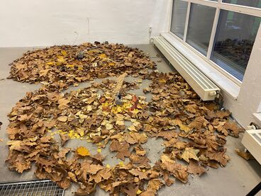 Ok: Treten auf Blätter