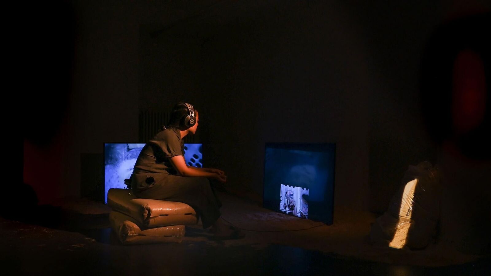 Gallery image of the project Live Stock / Live Animals