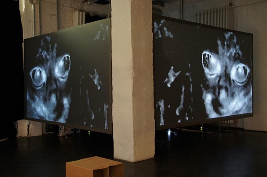 Gallery image of the project Austerlitz