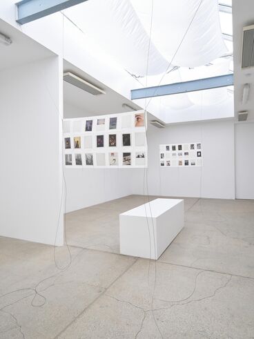 Gallery image of the project IN MY HANDS - Issue 7 - An den Spitzen nur Wurzeln