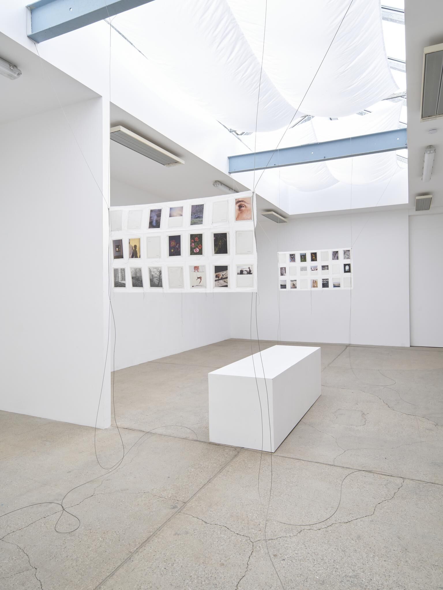 Gallery image of the project IN MY HANDS - Issue 7 - An den Spitzen nur Wurzeln