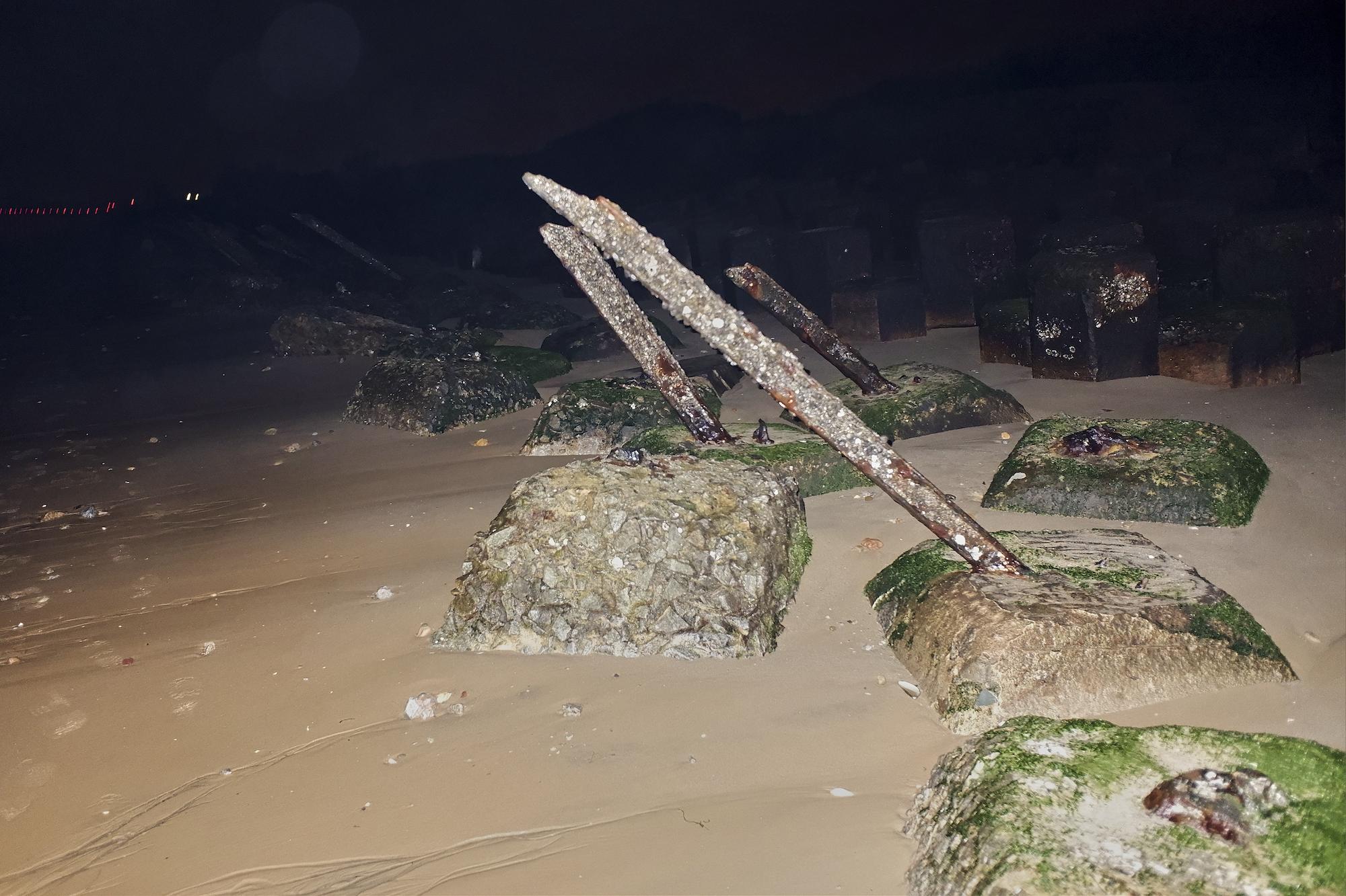 Gallery image of the project Purple Thorn