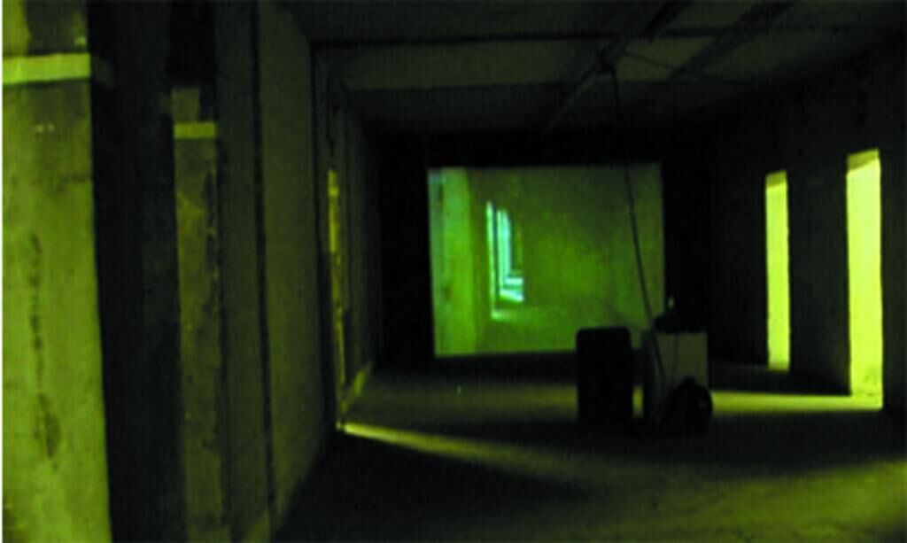 Cover image of the project Wo träumende Esel träumen