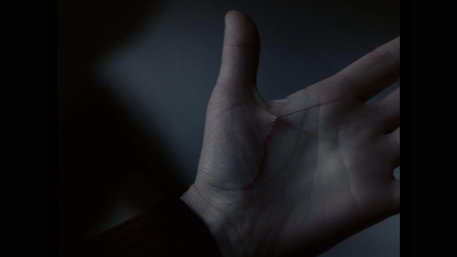 Gallery image of the project On the other side of the pillow a rose was blossoming