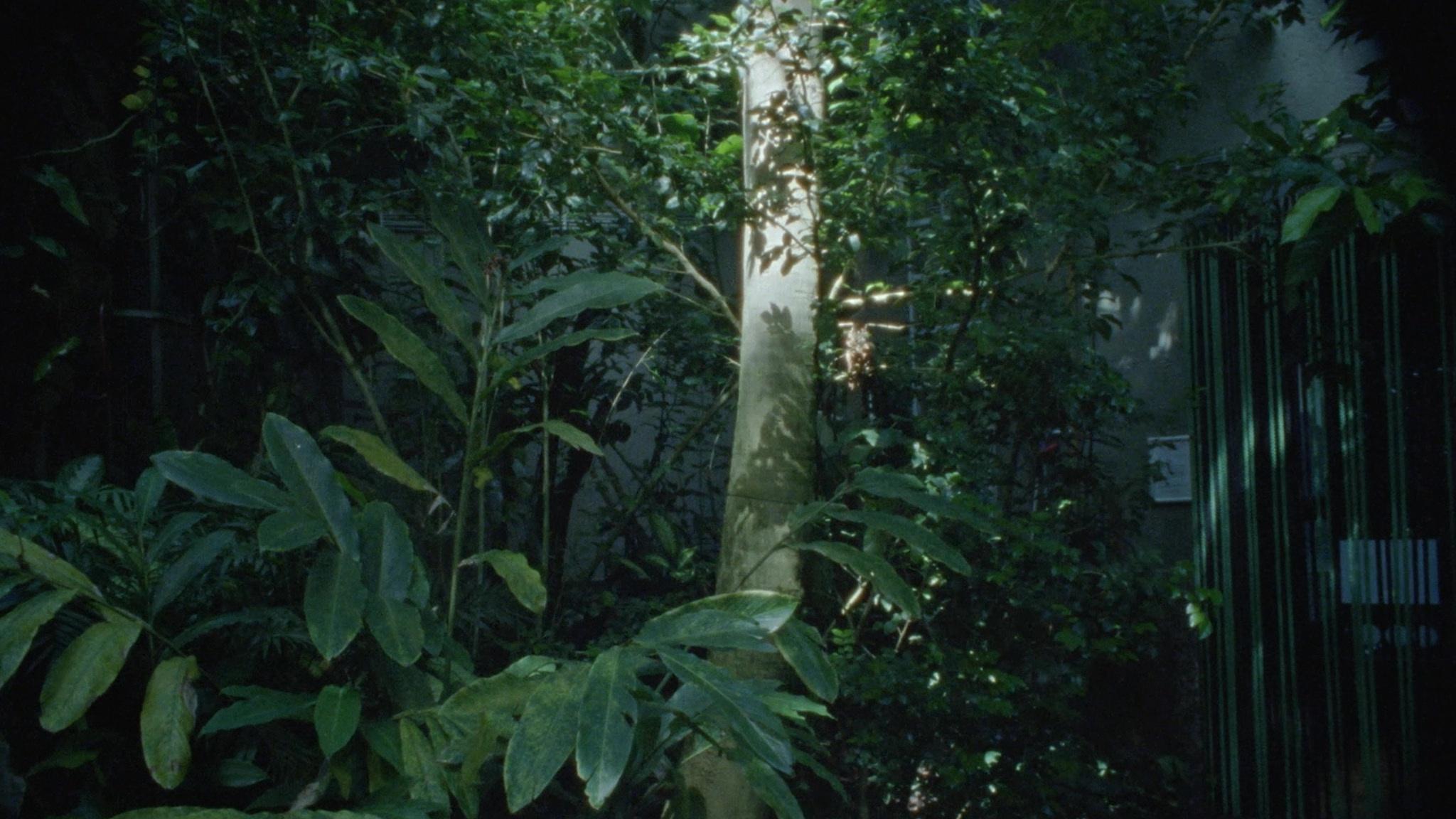 Gallery image of the project Crocodile Nest