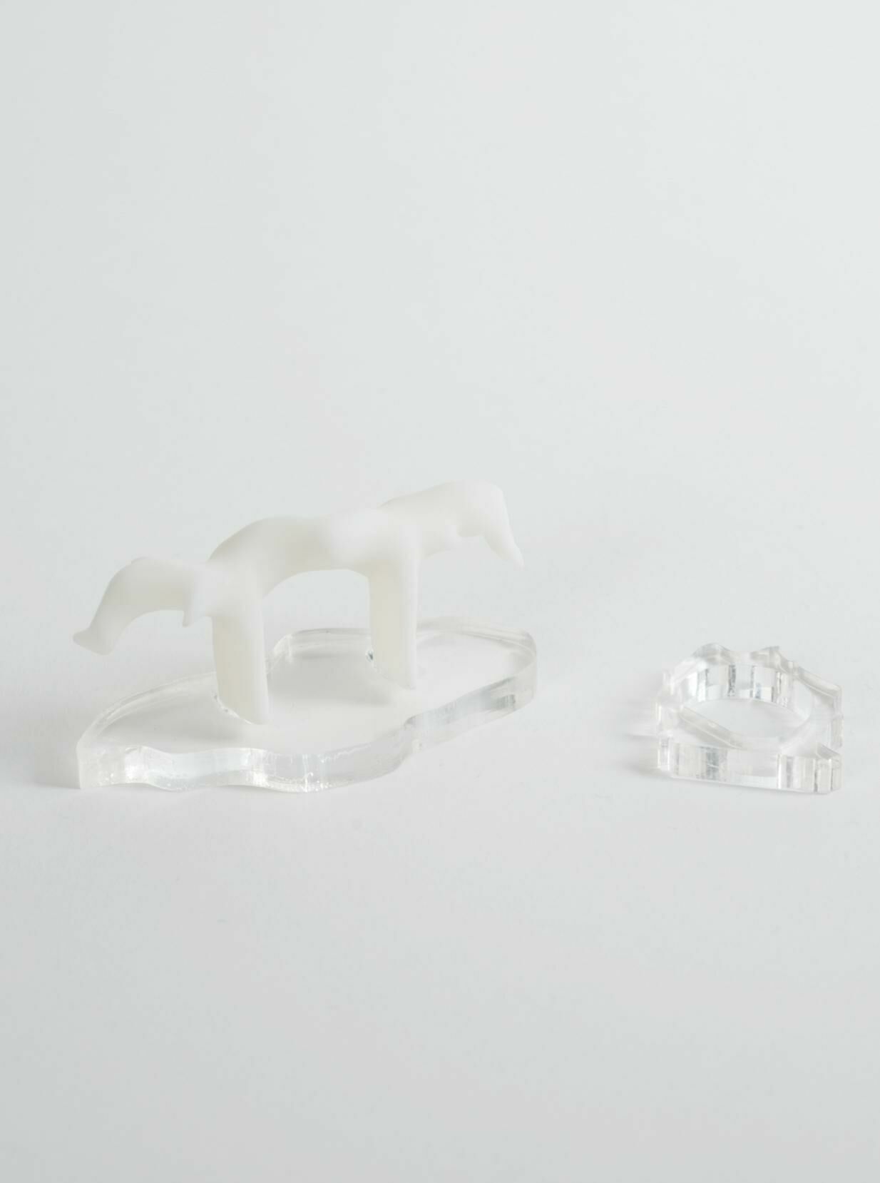 Gallery image of the project Walter Palmer Shot A Lion: A Choreographic Score For The Many