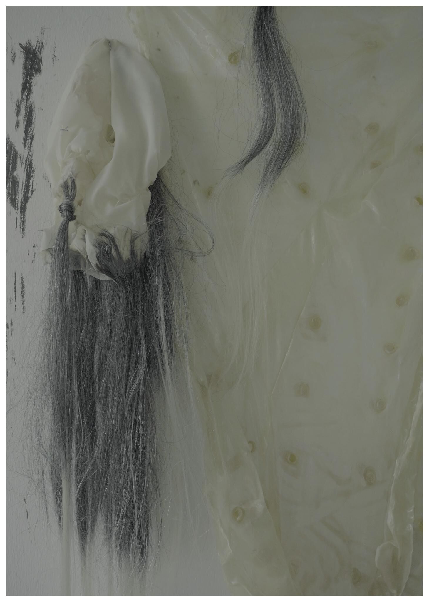 Gallery image of the project FALSE SPRING