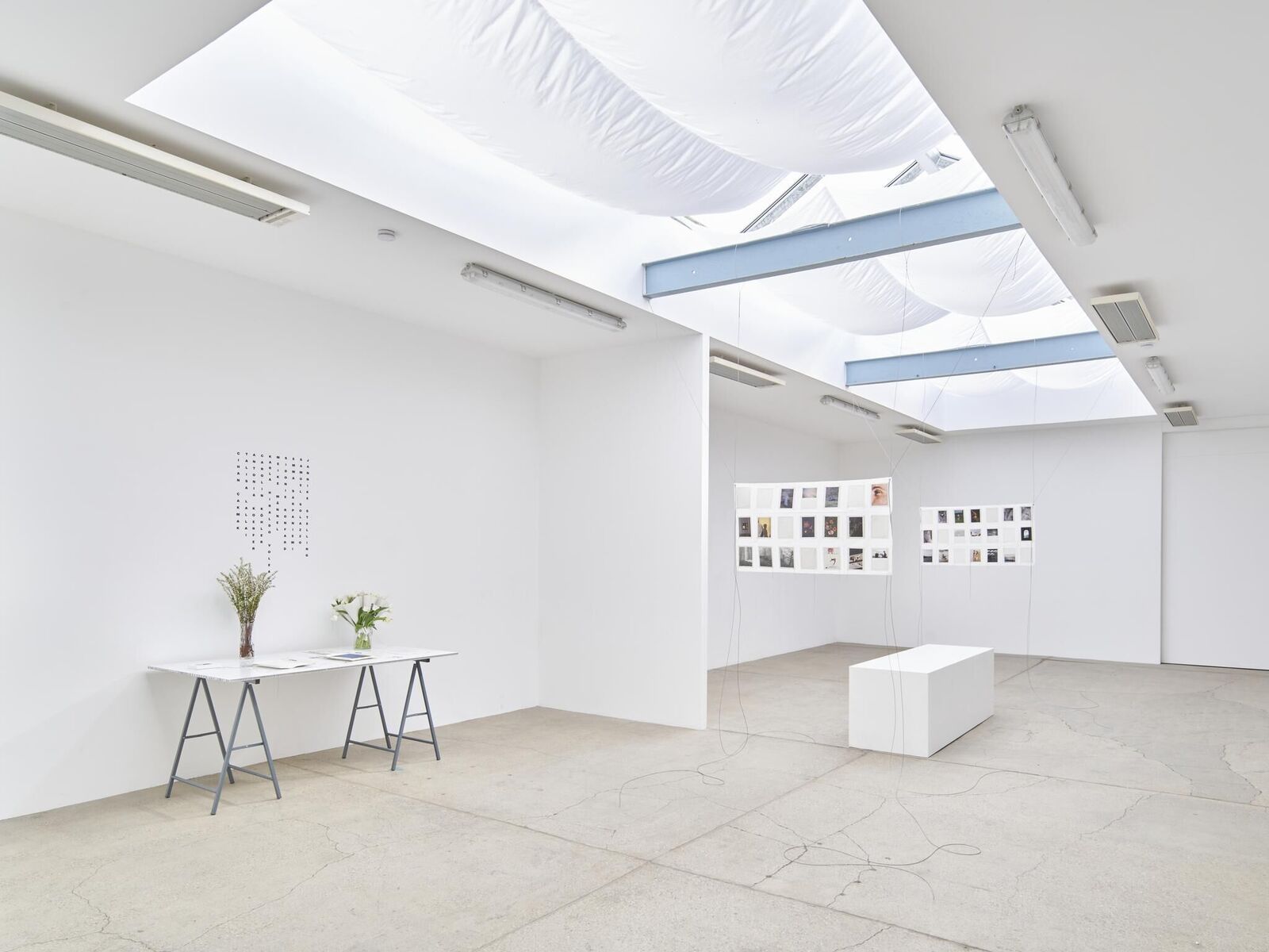 Cover image of the project IN MY HANDS - Issue 7 - An den Spitzen nur Wurzeln