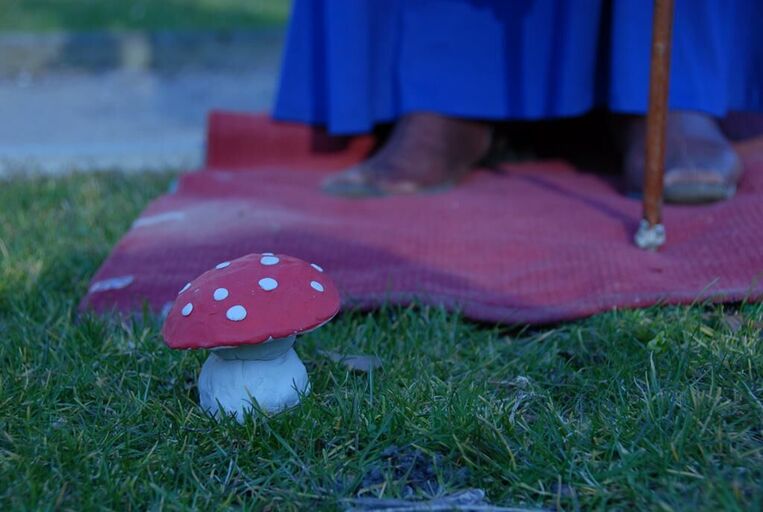 Cover image of the project flachs
