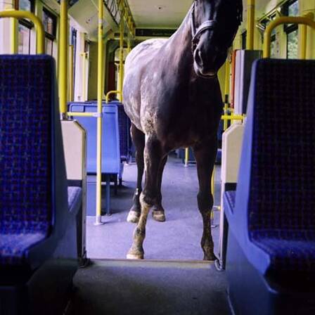 © Antje Knapp