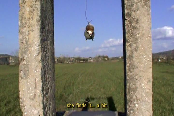 Gallery image of the project red angel