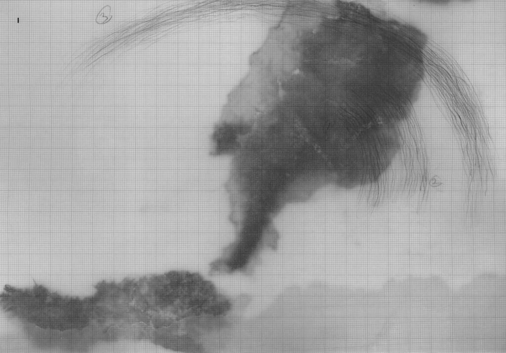 Gallery image of the project Geisterangeln