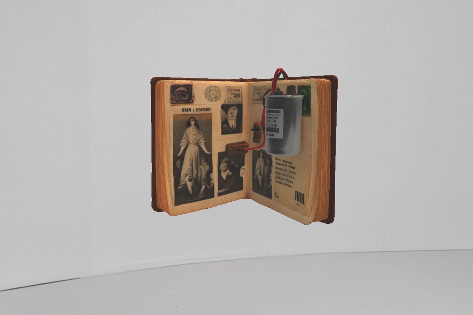 Gallery image of the project The Invisible Warbler