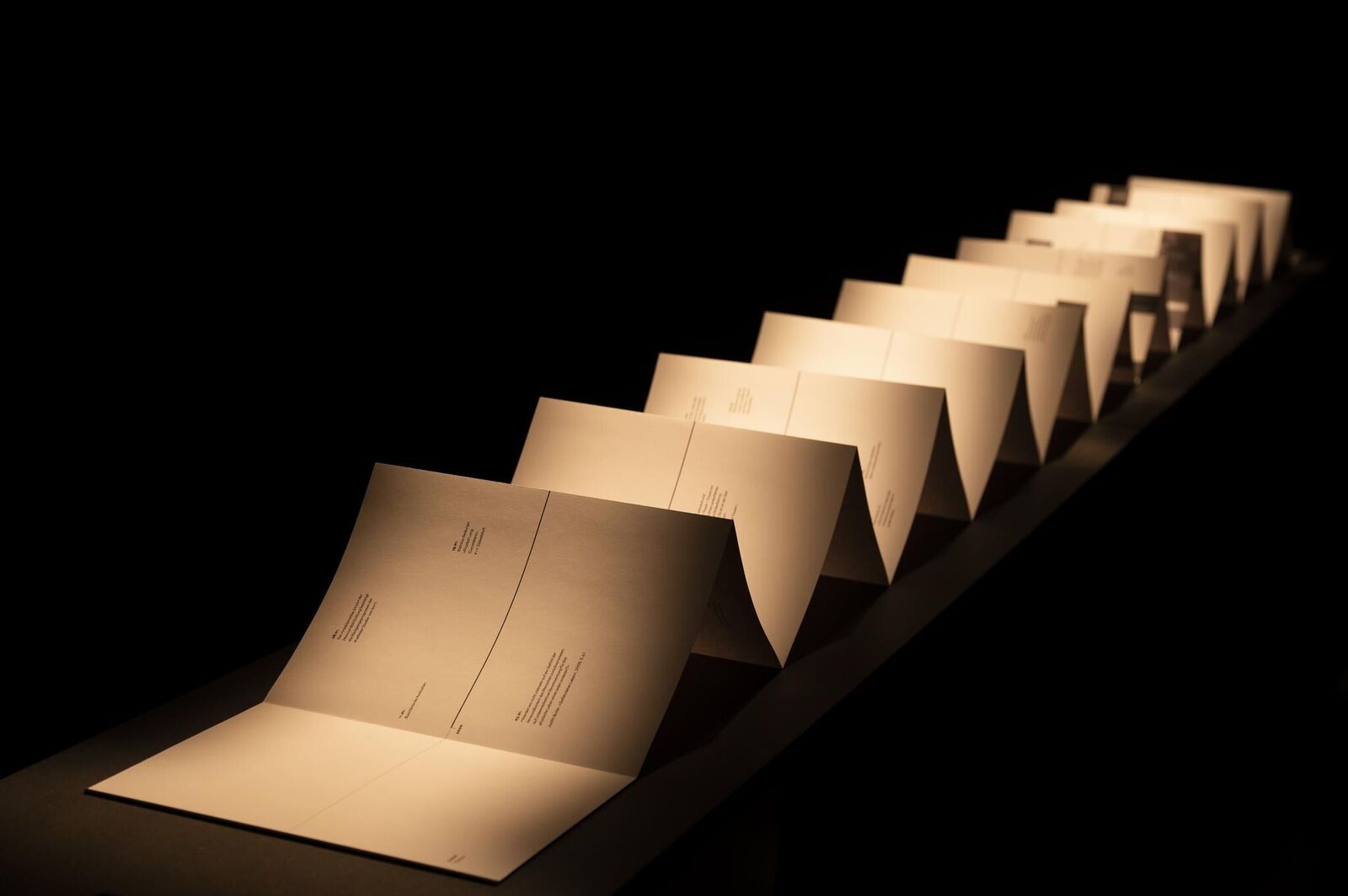 Gallery image of the project «Dann kommen ja die grünen Vögel nicht mehr wieder, wenn die Kastanien weg sind»