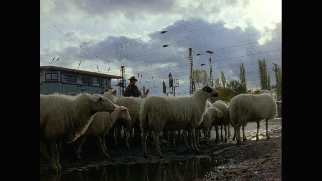 Gallery image of the project City Dwellers