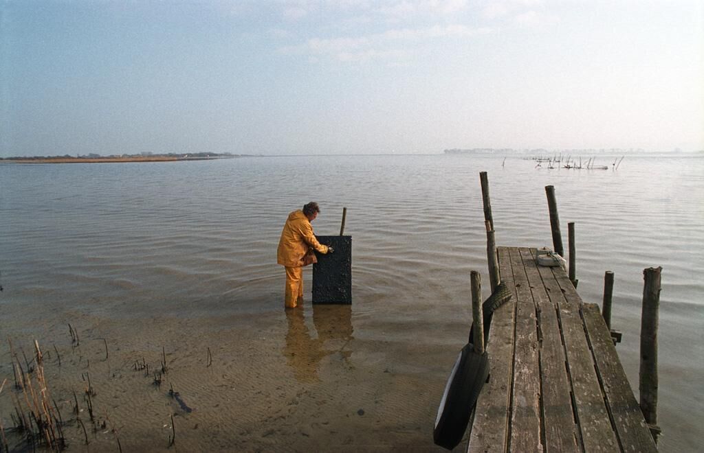 Cover image of the project Rainer T. Eul – Oil on Canvas