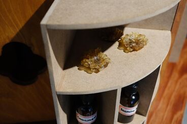 Gallery image of the project Curio Box of Smells