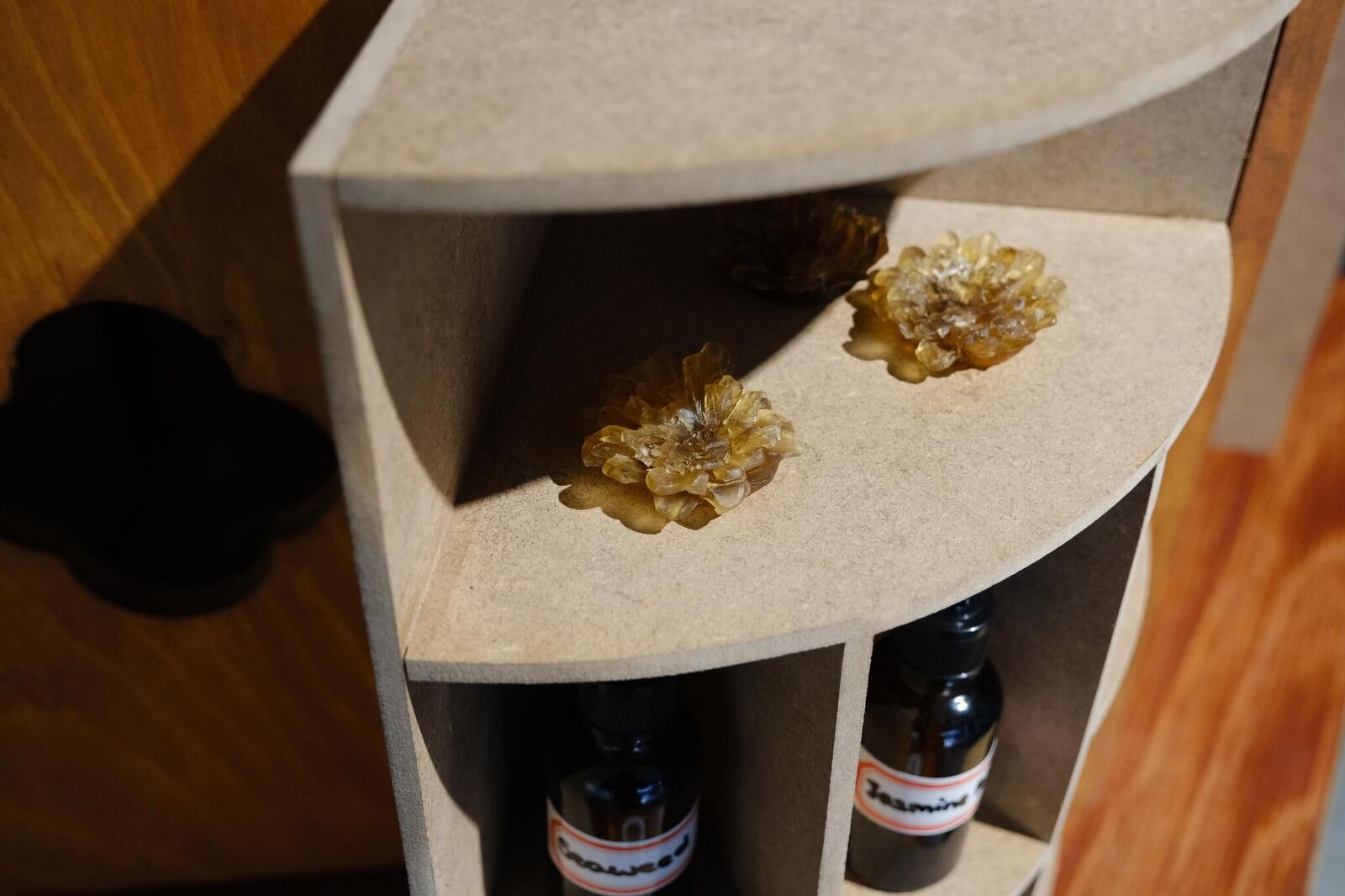Gallery image of the project Curio Box of Smells