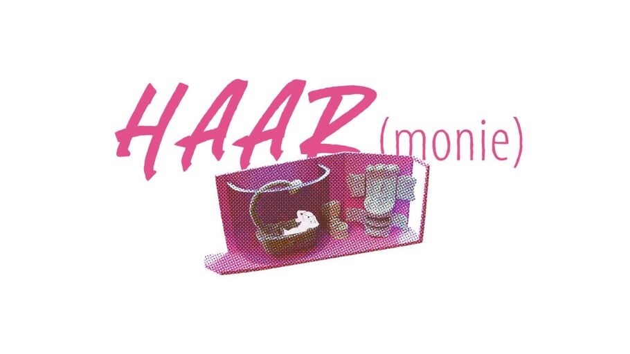 Cover image of the project HAARmonie
