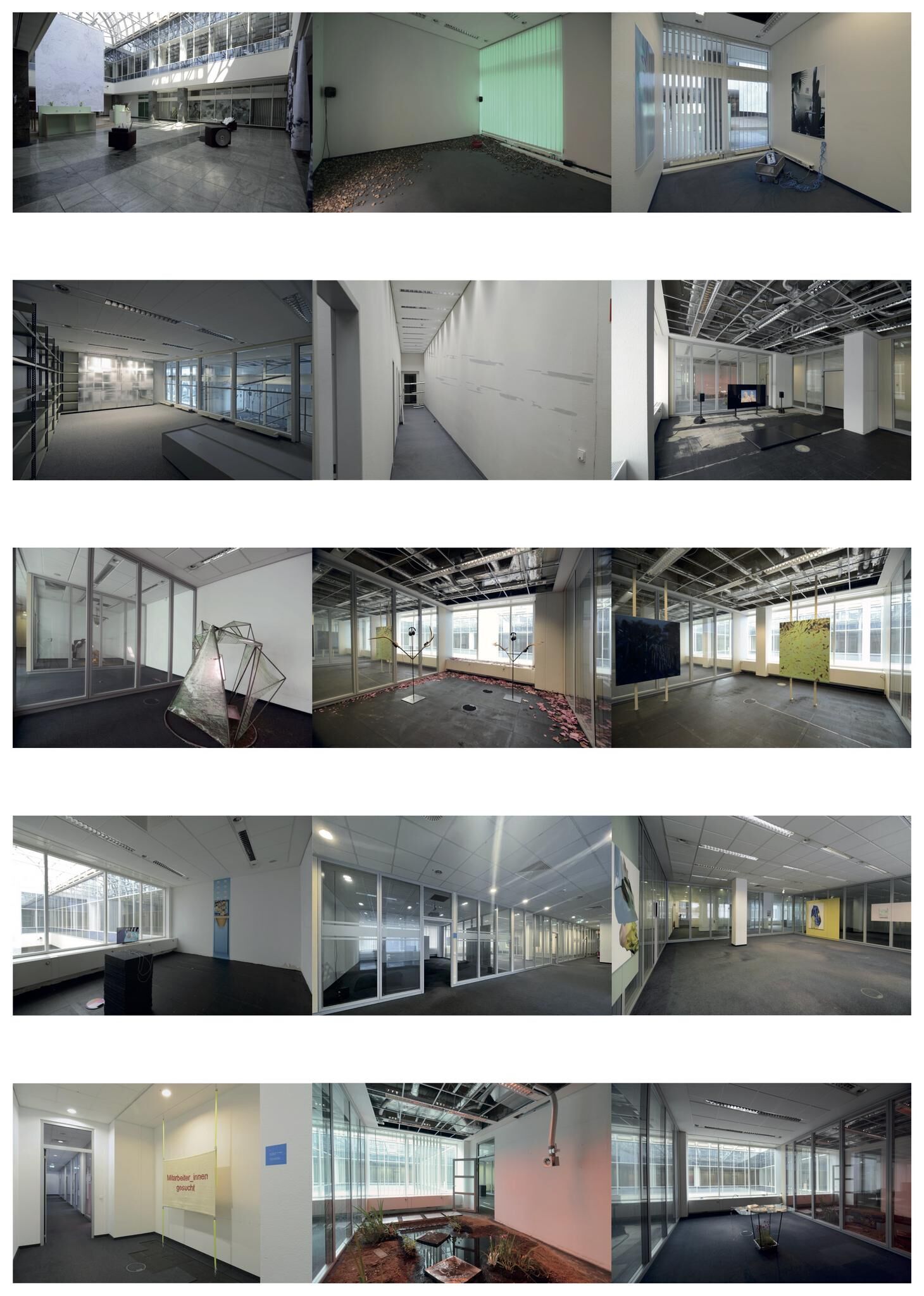 Gallery image of the project FALSE SPRING
