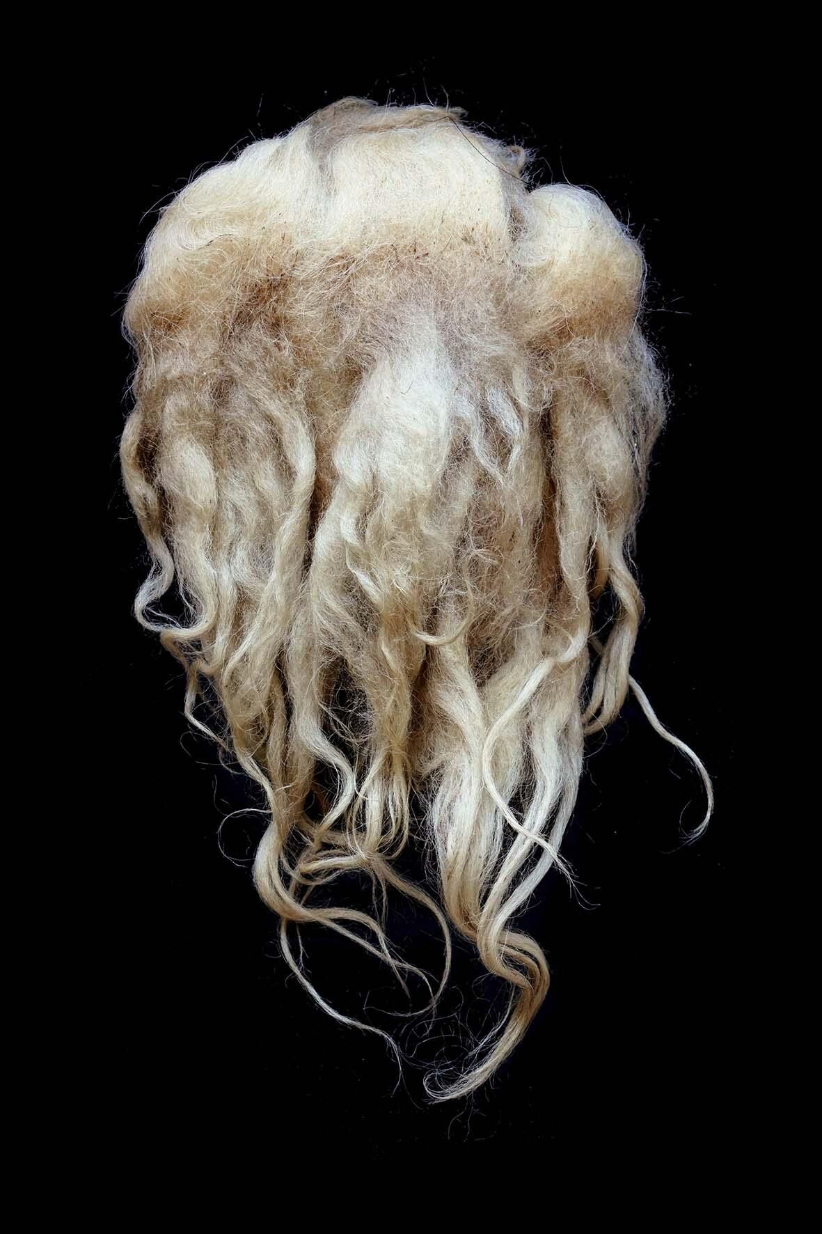 Cover image of the project «Dann kommen ja die grünen Vögel nicht mehr wieder, wenn die Kastanien weg sind»