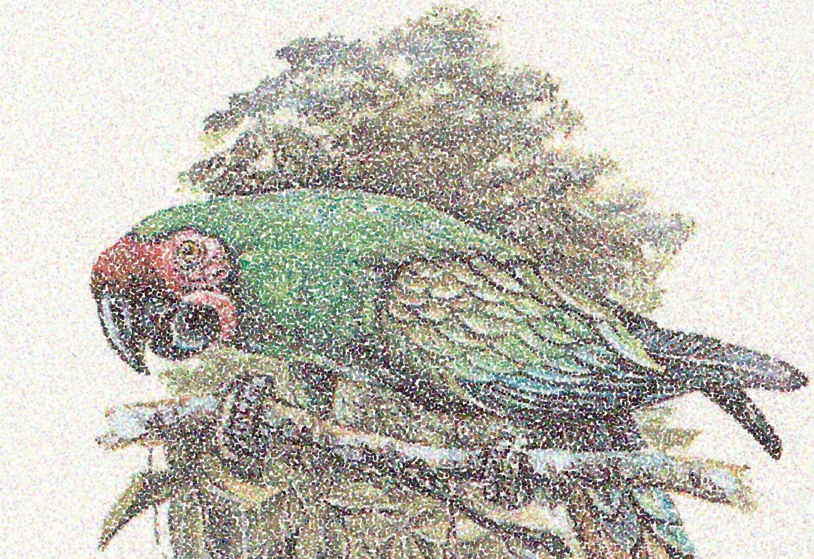 Cover image of the project Maybe Montreal