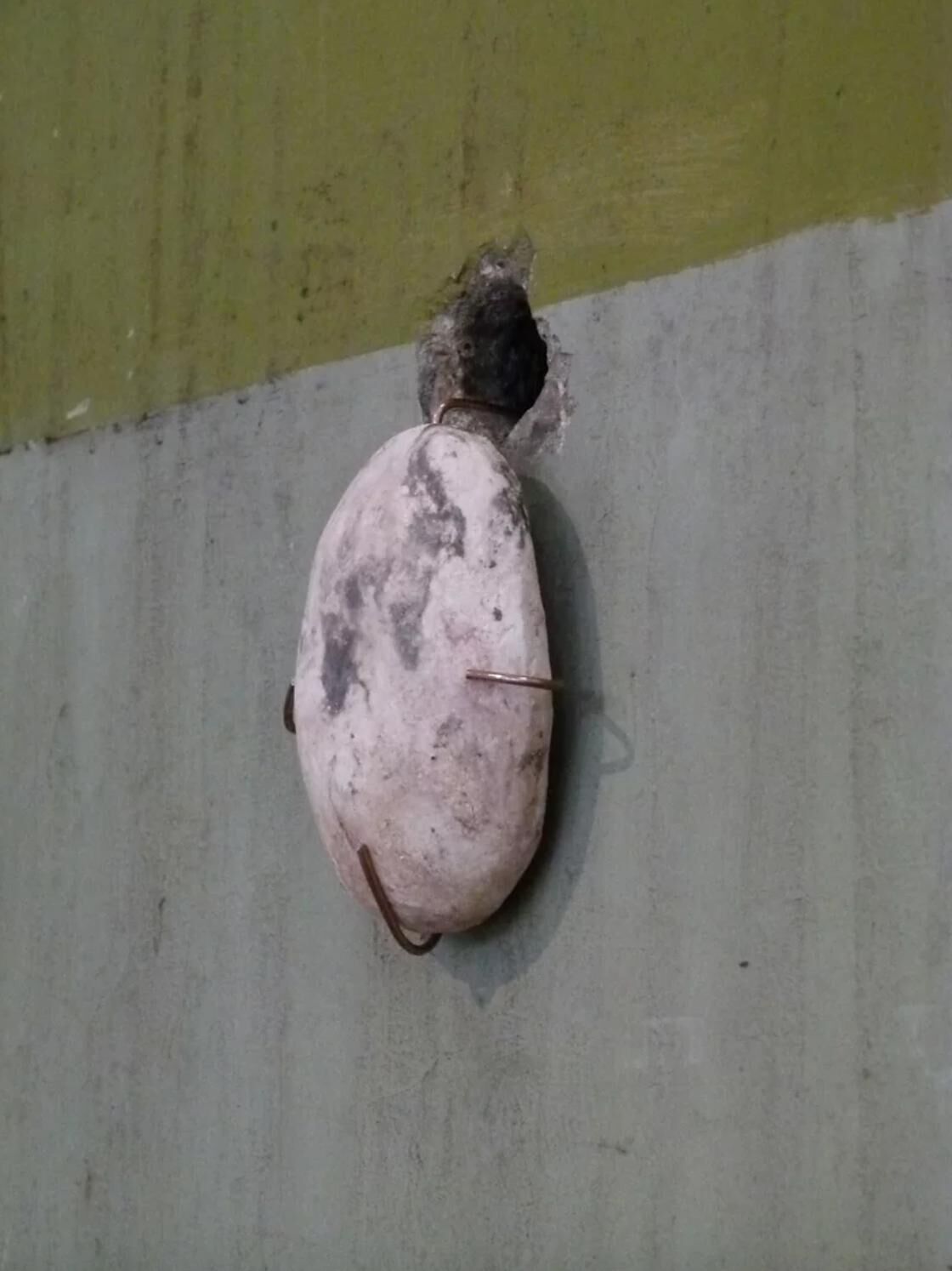 Gallery image of the project The haunted villa of Spetses