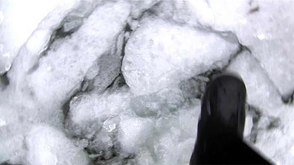 Gallery image of the project The White Tape 