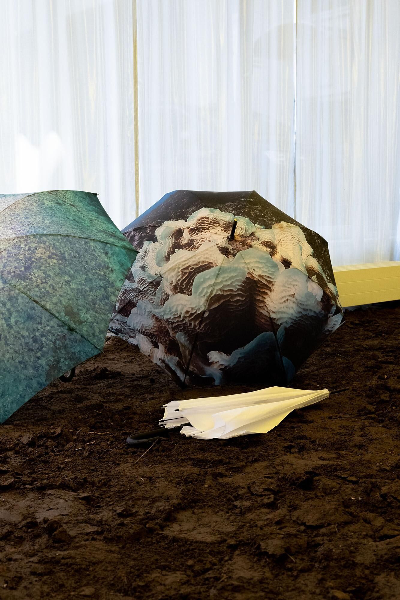 Gallery image of the project HOT