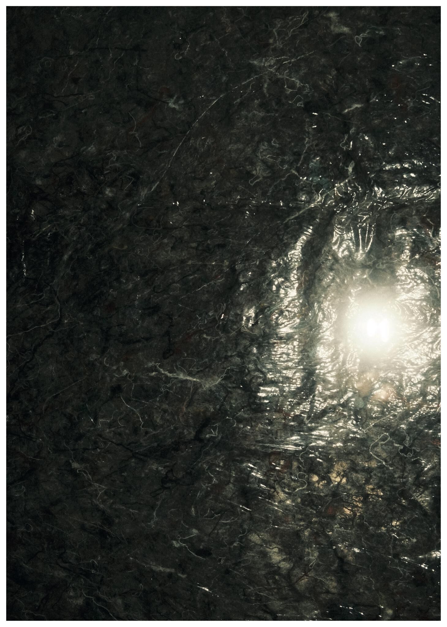 Gallery image of the project FALSE SPRING