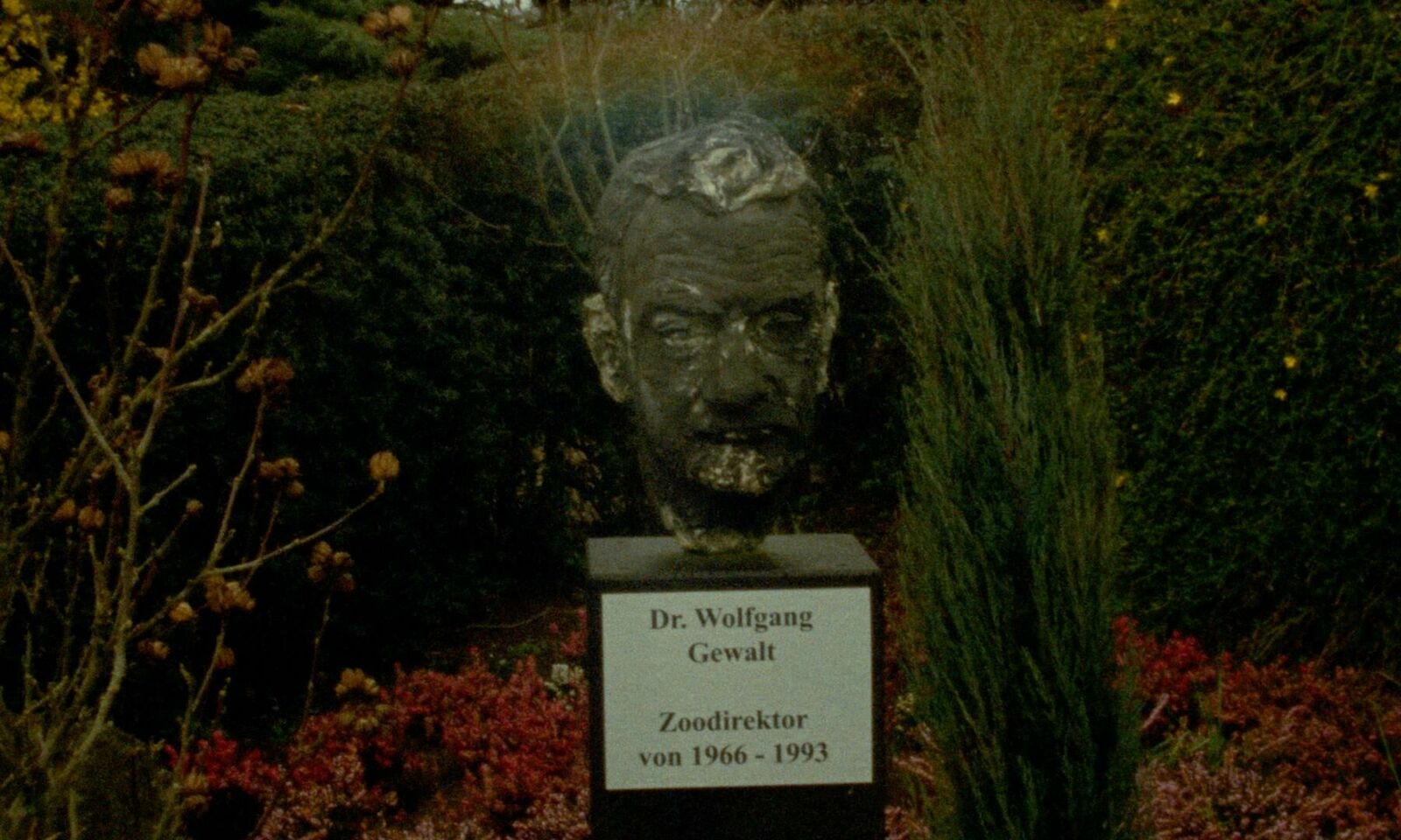 Gallery image of the project The Fading Sound of Waves