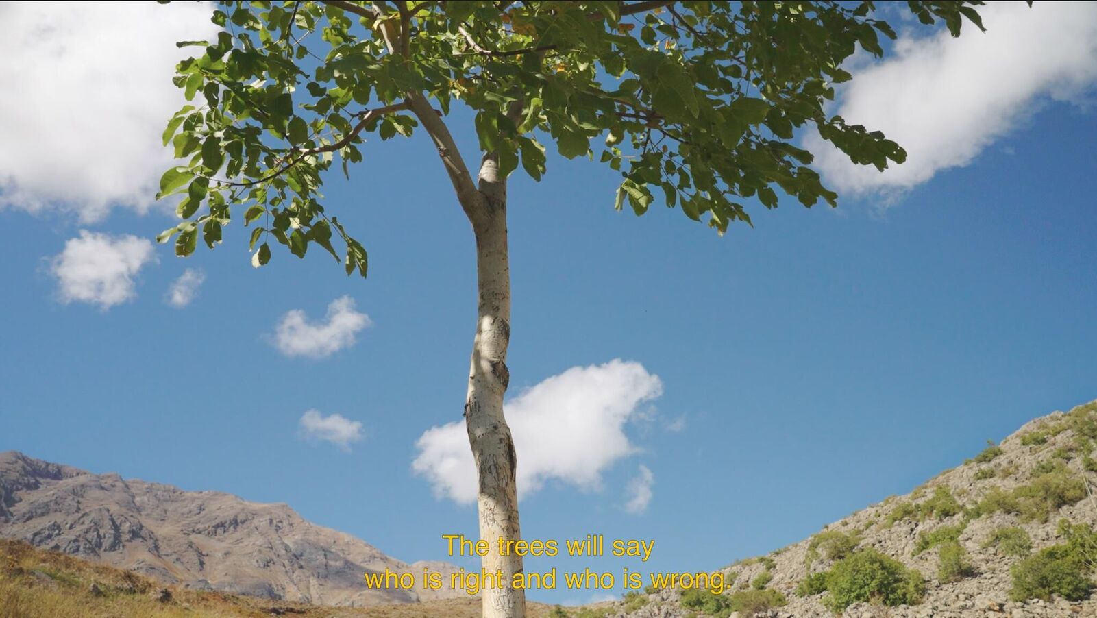 Gallery image of the project You don't look nothing alike