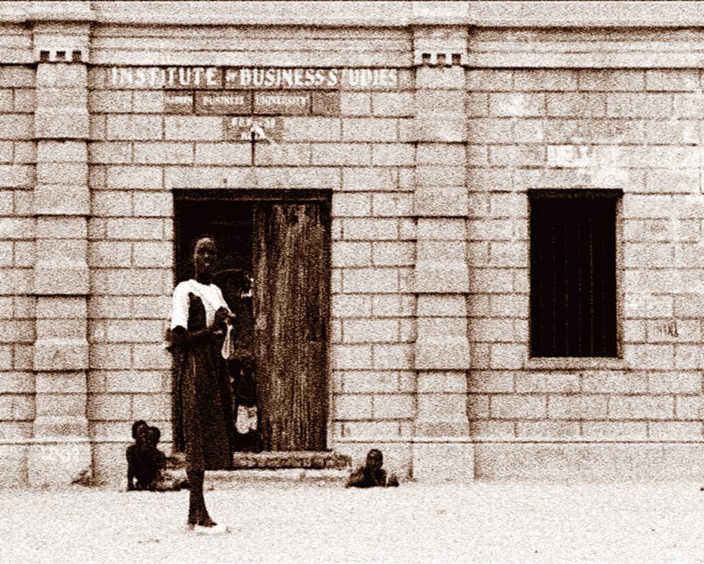 Gallery image of the project Soundscape-Africa