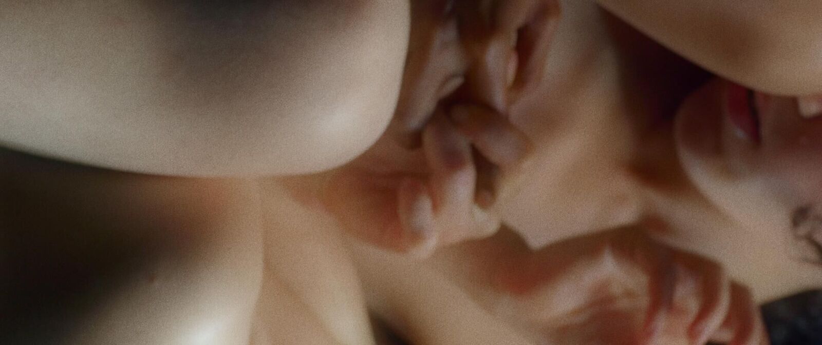 Gallery image of the project Territory