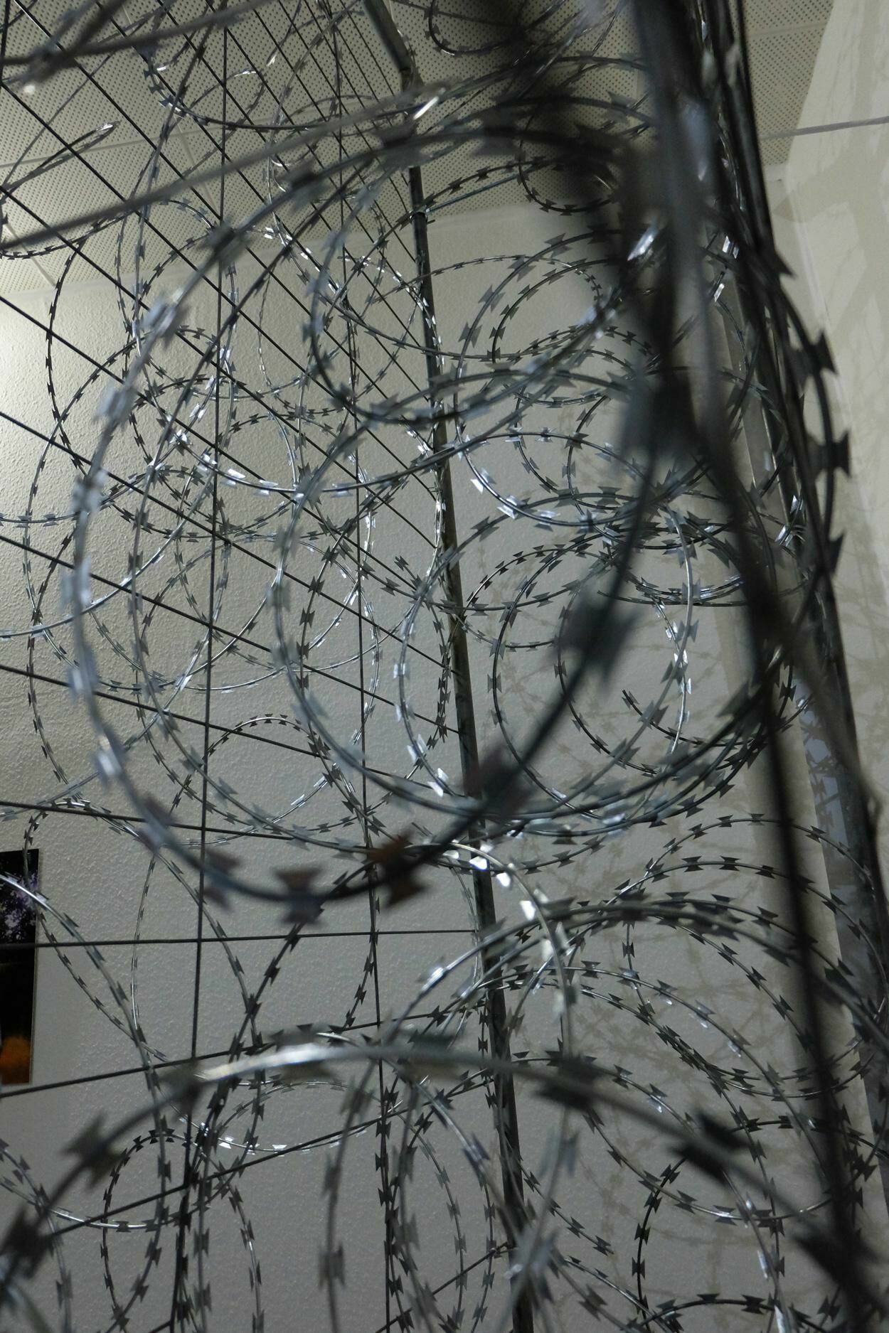 Gallery image of the project The fence