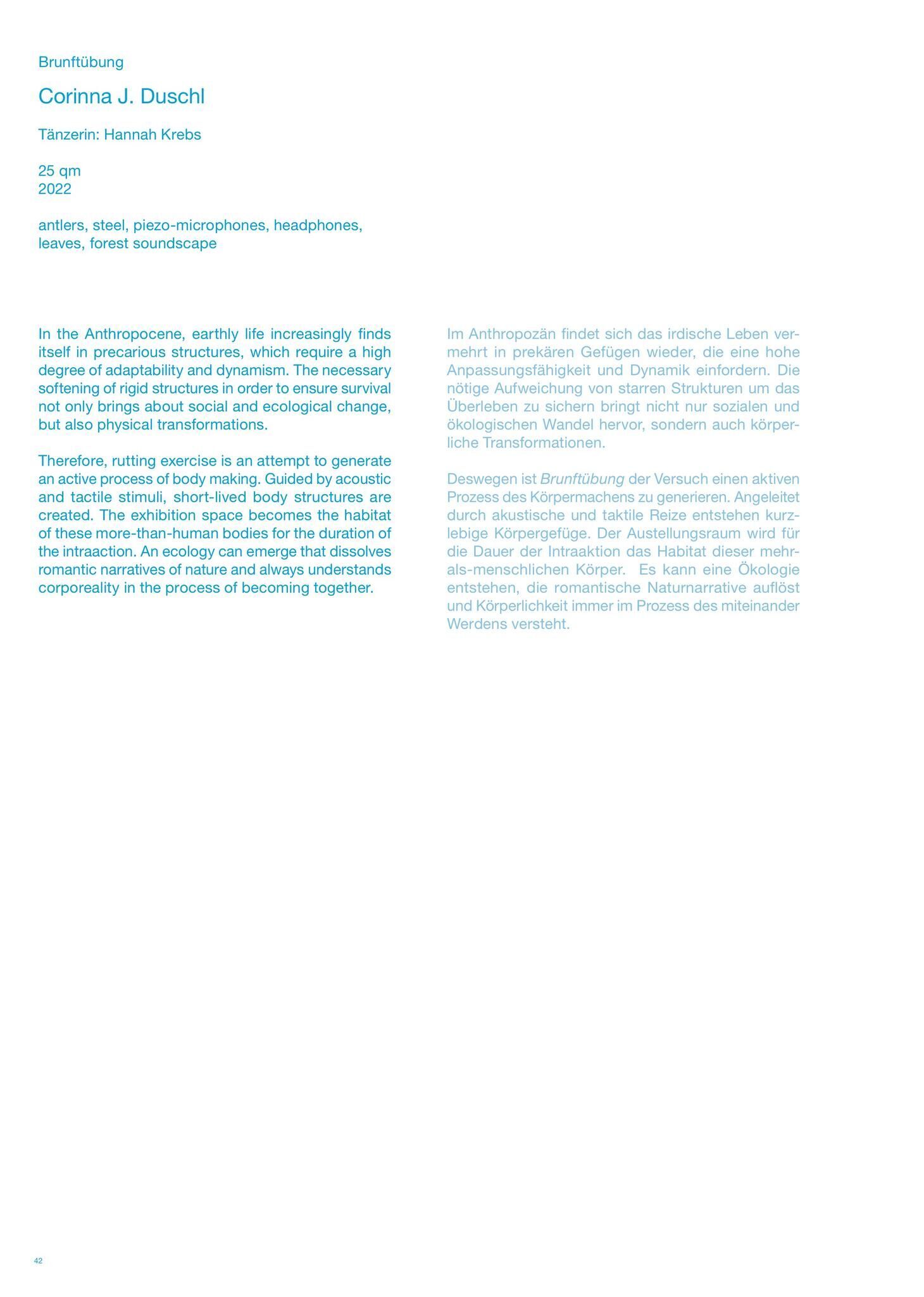 Gallery image of the project FALSE SPRING