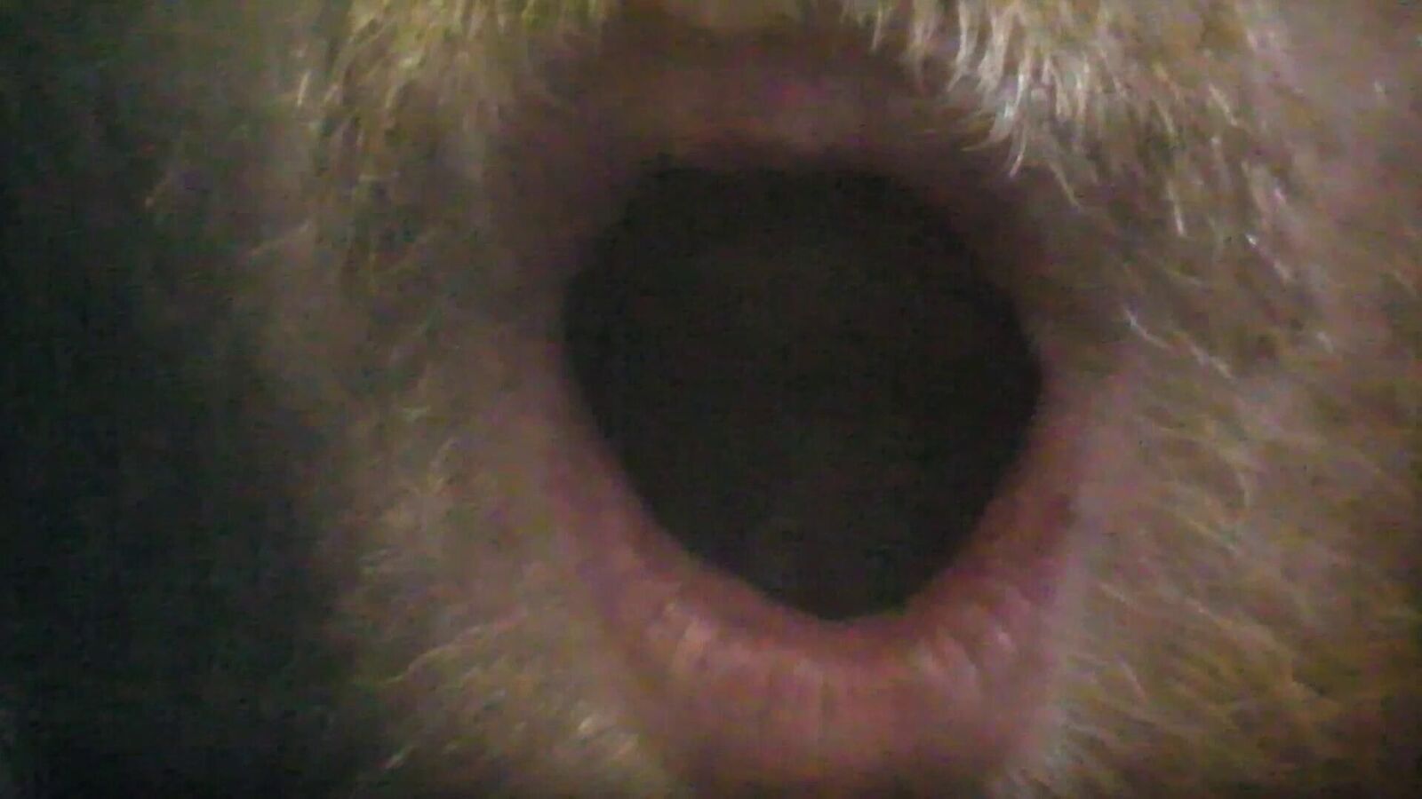 Gallery image of the project Bitte nicht kotzen