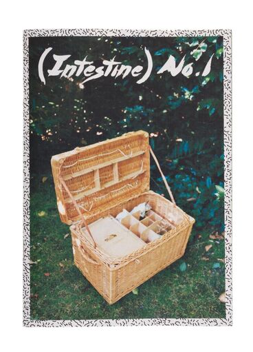 ( Intestin ) Cover image of the project ( Intestin )